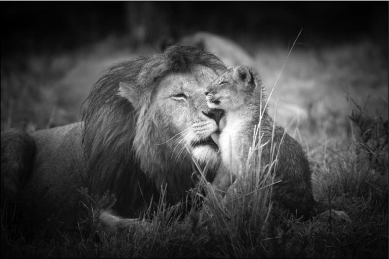Father and Son