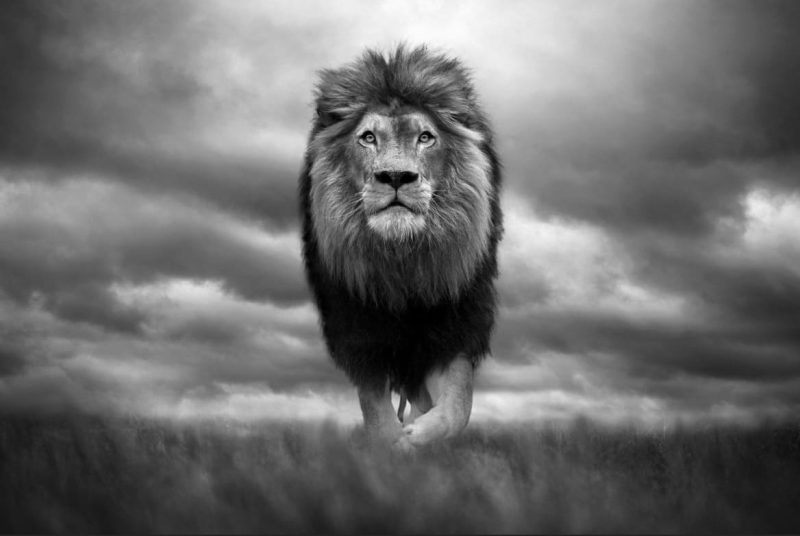 King of Kings