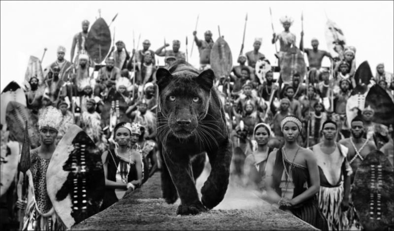 I Am Black Panther