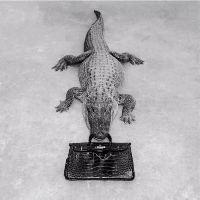 Gator Birkin