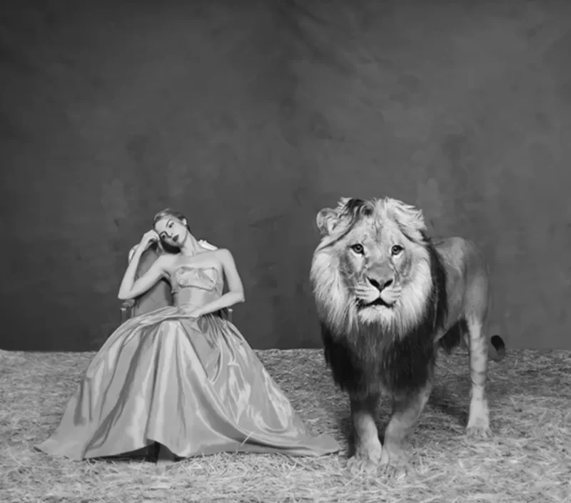 The Lady and The Lion