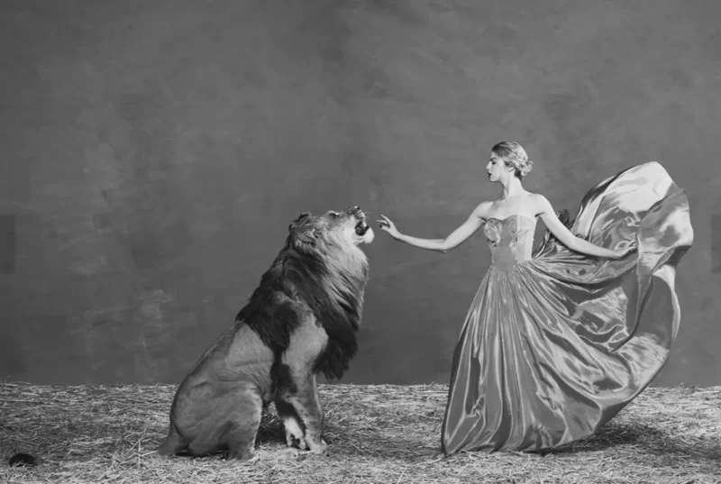 Lady And The Lion (Landscape)