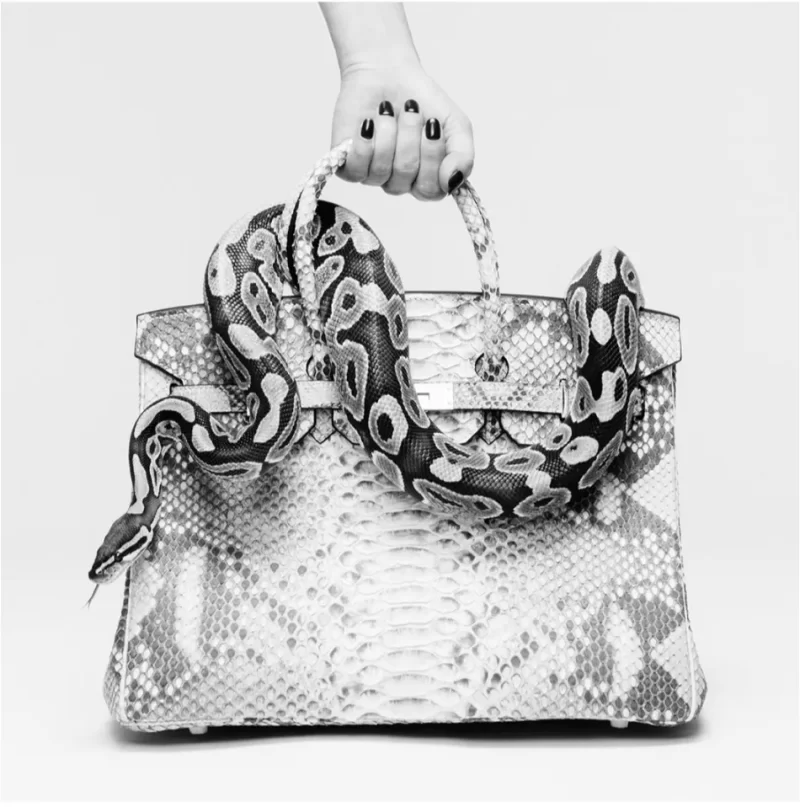 Python Birkin