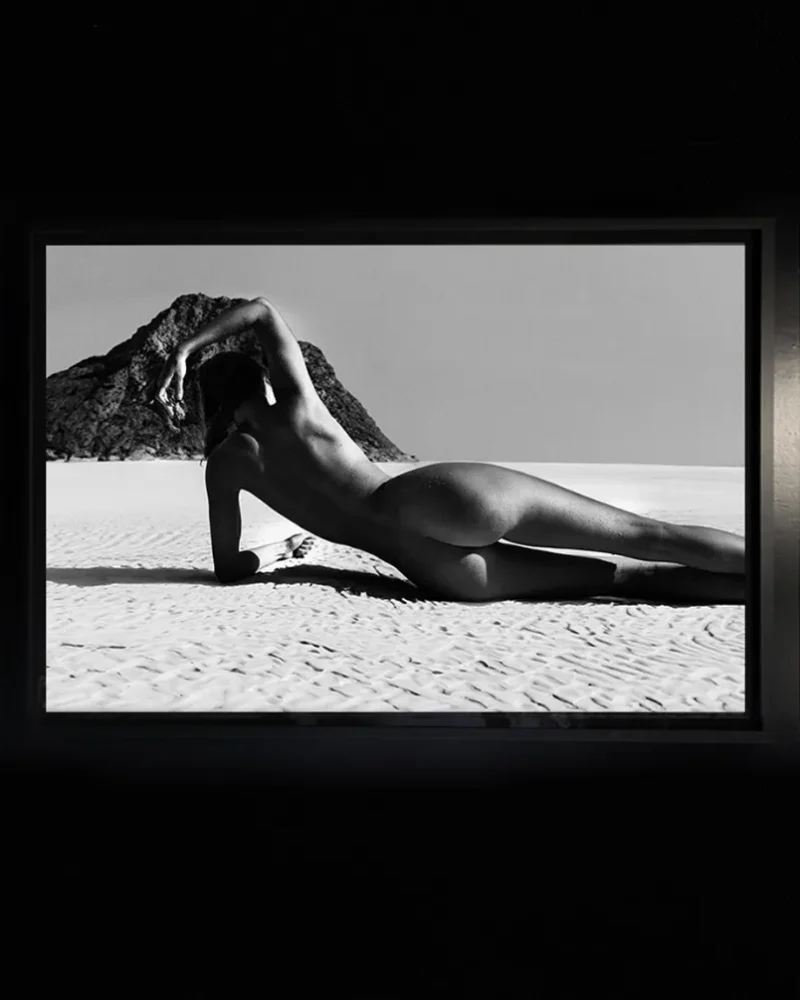 Art Gallery - Modern Art